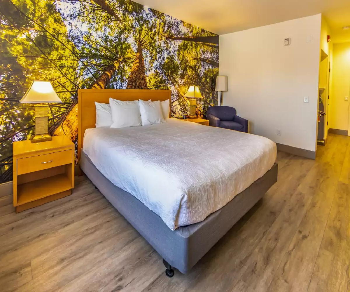 1 King Bed